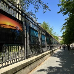 L'exposition sur les grilles du Sénat