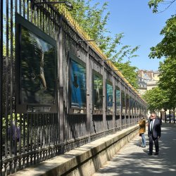 L'exposition sur les grilles du Sénat