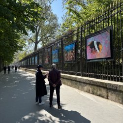L'exposition sur les grilles du Sénat